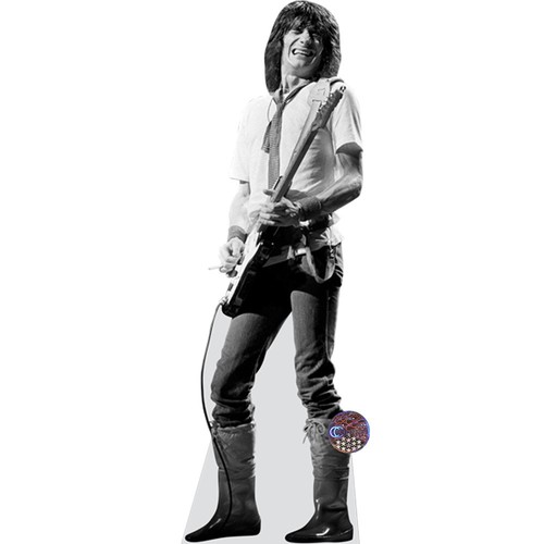 Ronnie wood life size - life,