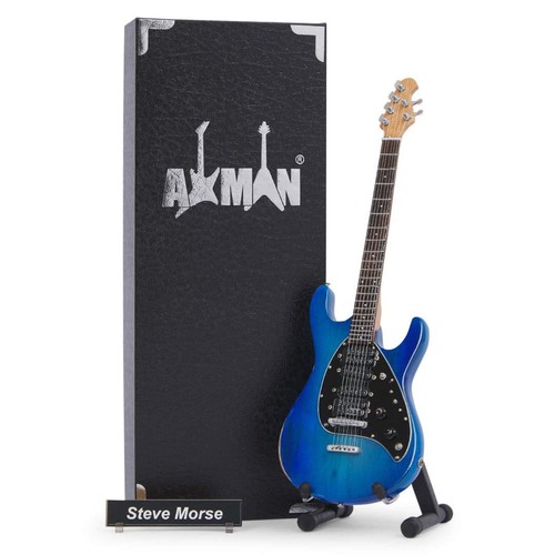 Steve morse guitar - steve,