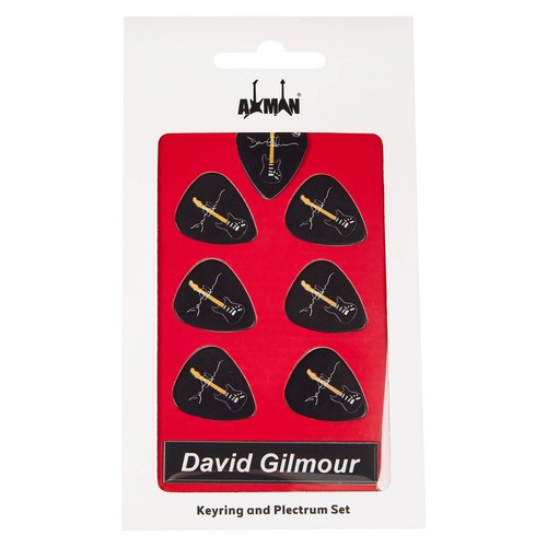David gilmour guitar plectrum - guitar,